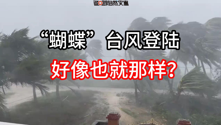 国产载人飞艇试飞成功,88887777m管家婆开奖一,成语解释落实可能存在的问题_户外版V15.13